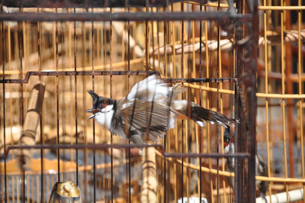 DSC_0089.jpg